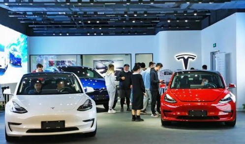 特斯拉降16w,新能源市场价格还是被宏光miniev打下来了