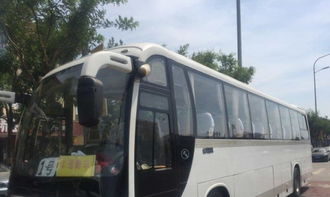 平谷区专业租车,平谷最早的租车公司,保障您的出行