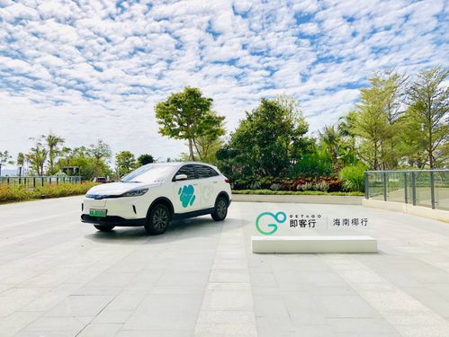 现在说造车格局已定为时尚早,双logo加持的威马就是最大变量