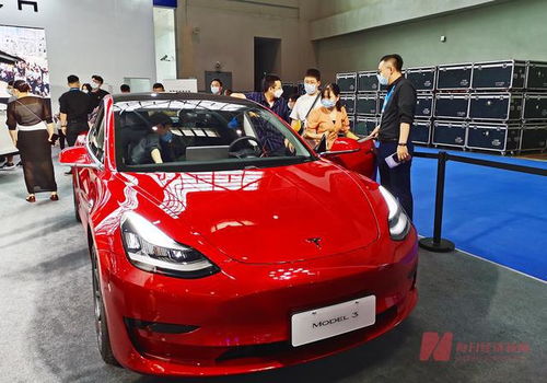 0首付购车 特斯拉上线全新融资租赁产品 下一步将进军出行市场