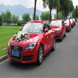 成都租车服务 便捷出行,随时出发